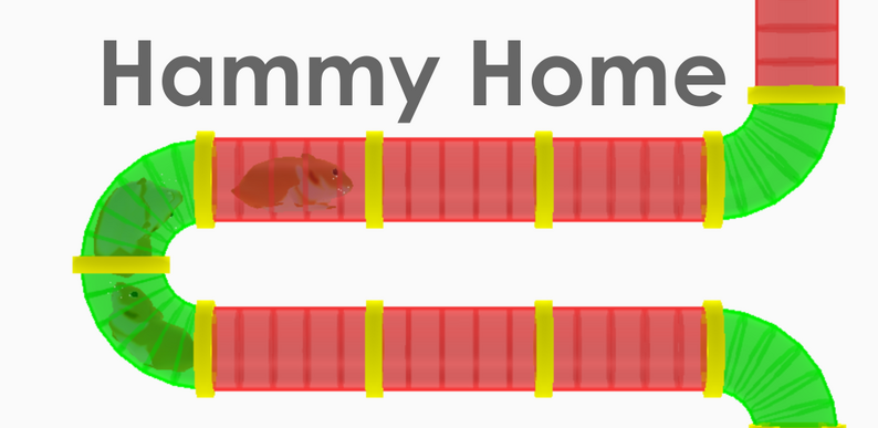 Hammy Home